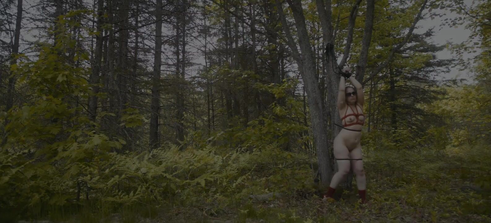 Привязанная к дереву девушка кончает в лесу от вибратора между ног (12 фото)